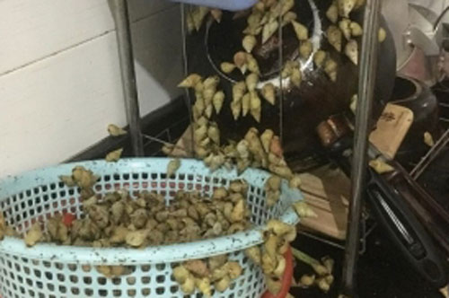 Được chị gái tặng món đặc sản nhưng để quên qua đêm, sáng ra cô gái choáng váng vì thấy thứ kinh sợ này