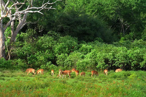 Trắc nghiệm: Bạn 'phũ' đến thế nào khi chia tay người yêu?