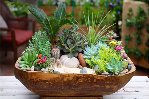 CLIP: Hướng dẫn 7 cách trang trí chậu sen đá độc đáo