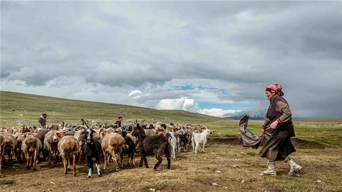 Cuoc song nhu phim cua nhung nguoi du muc cuoi cung o Mong Co hinh anh 1 SPortnoy_Mongolia_16_Photo_credit_Susan_Portnoy_1920x1080.jpg