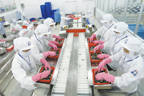 Mỹ tăng mạnh mua tôm từ Việt Nam