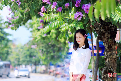 Vẻ đẹp của những cánh hoa bằng lăng trên những con đường ở Hà Tĩnh