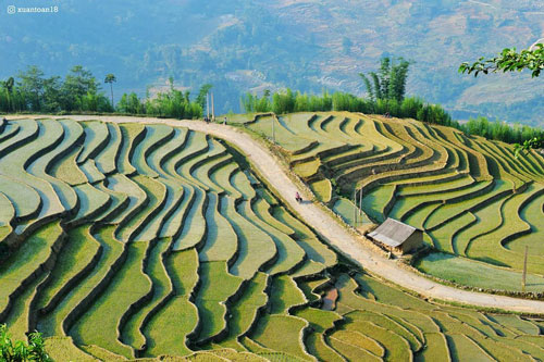 Tây Bắc đẹp mơ màng trong mùa nước đổ