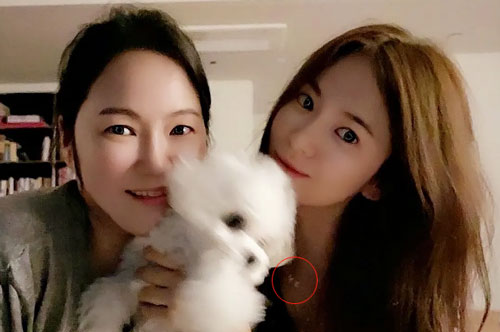 Song Hye Kyo bị đồn quay lại với Hyun Bin