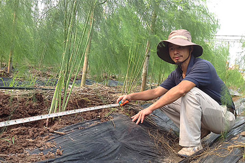 Nam Định: 'Bỏ phố về làng' làm nông nghiệp công nghệ cao