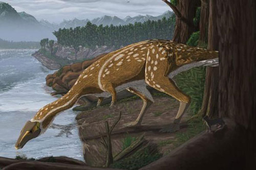 Phát hiện hóa thạch khủng long cực hiếm ở Úc