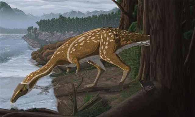 Phát hiện hóa thạch khủng long cực hiếm ở Úc - 1