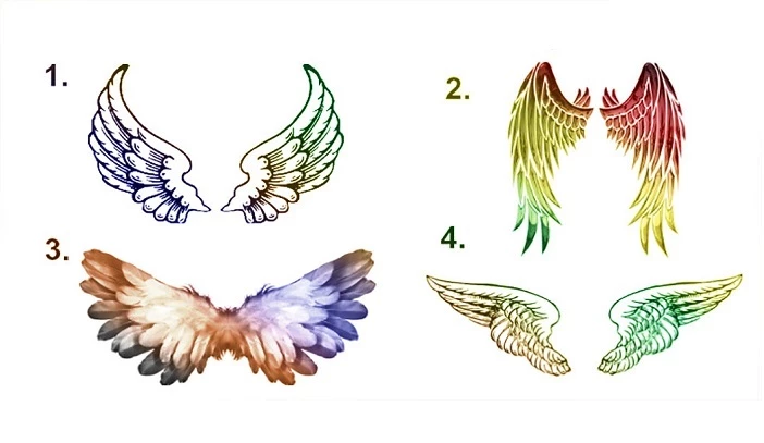 Bạn chọn đôi cánh nào?