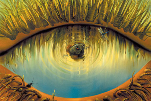 Trắc nghiệm: Chỉ với 1 bức hình, biết ngay ưu nhược điểm của bạn