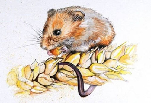 Những con giáp xui xẻo, dễ gặp họa thị phi, tiền mất tật mang nửa cuối tháng 5 dương lịch