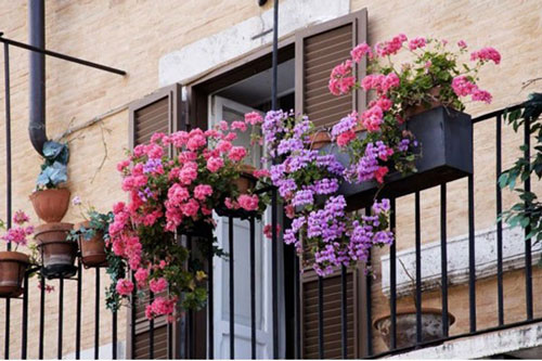 CLIP: Hướng dẫn tái chế chai nhựa thành chậu hoa trang trí ngoài ban công