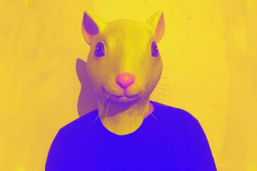 Các nhà khoa học tạo ra vật lai giữa chuột và người