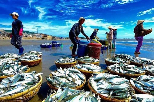 Xuất khẩu hải sản năm 2020 sẽ đạt 3,25 - 3,3 tỷ USD (Ảnh: Internet) 