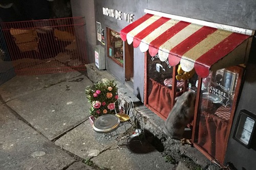 Không khỏi 'giật mình' với cửa tiệm bé xíu chỉ dành riêng cho chuột