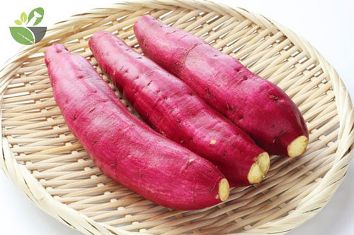 5 thực phẩm tốt cho hệ tiêu hóa của trẻ, nhất là loại thứ 2