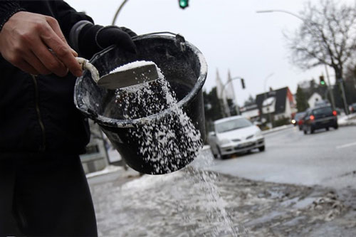 Rắc muối quanh nhà, mẹ chồng lắc đầu kêu "phí của" nhưng thấy kết quả phải tấm tắc khen