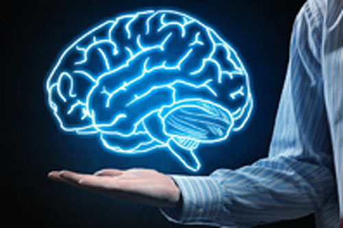 Trắc nghiệm: Vị trí nào trong não bộ của bạn phát triển nhất?