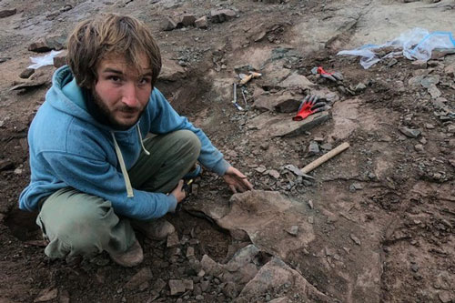 Phát hiện xương của khủng long khổng lồ Megaraptor