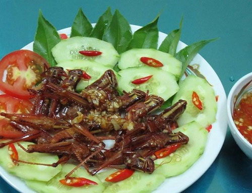 Ghé Đồng Nai ăn dế cơm chiên mắm và những đặc sản khác