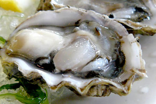 Cách chọn mua ngao, sò, ốc, hến tươi ngon cực phẩm không để người bán hàng qua mặt