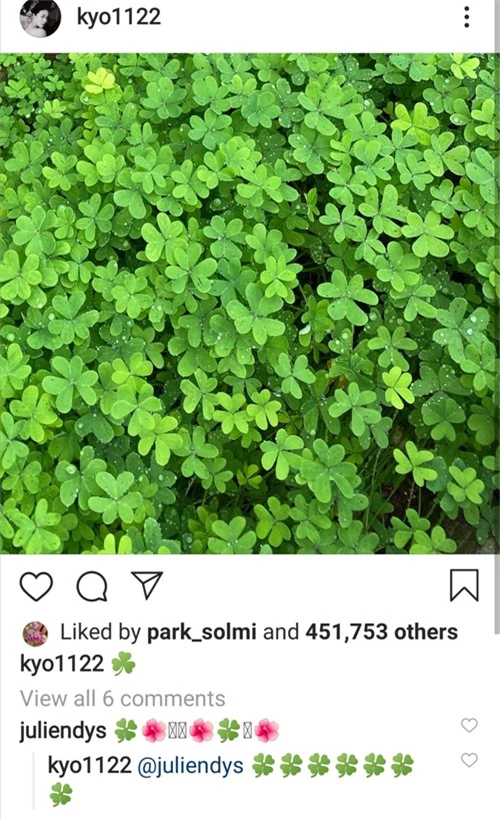 Sau đó, Song Hye Kyo đăng trên Instagram một tấm hình những cánh cỏ xanh mướt. Người bạn của cô bình luận rằng nếu có thể tìm được trong số đó một cánh cỏ ba lá thì thật may mắn.