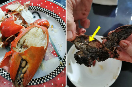 Bỏ tiền triệu ra mua 3 con cua đắt đỏ đãi mẹ, cô gái cay đắng nhận về thứ "nổi da gà"