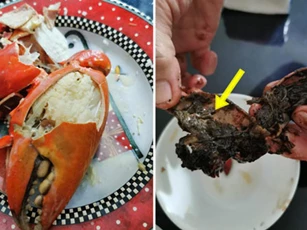 Bỏ tiền triệu ra mua 3 con cua đắt đỏ đãi mẹ, cô gái cay đắng nhận về thứ "nổi da gà"