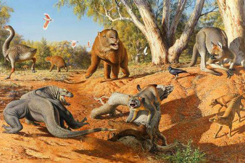 Khí hậu cực đoan làm tuyệt chủng hệ động vật khổng lồ ở Úc và New Guinea