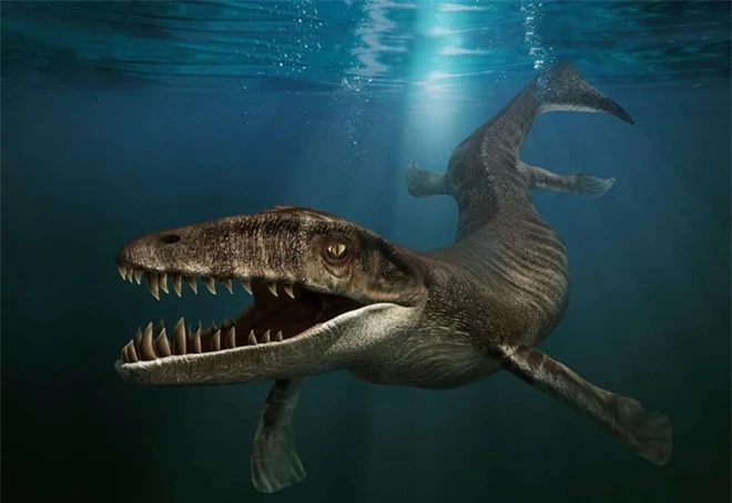 Cá sấu tiền sử dưới đại dương chỉ cần một cú đớp cũng có thể làm thủng bụng ngư long - Ảnh 1.