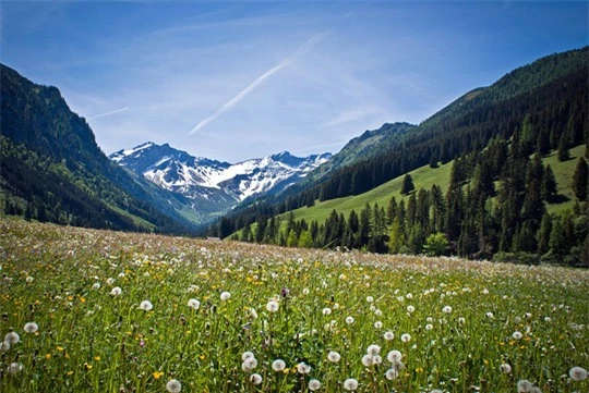 Liechtenstein