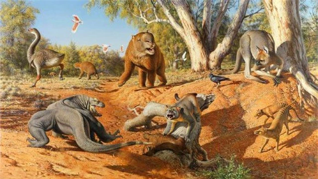 Khí hậu cực đoan làm tuyệt chủng hệ động vật khổng lồ ở Úc và New Guinea - 1