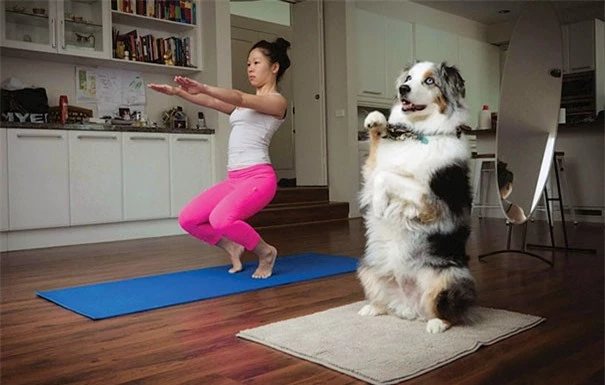 nhung buc anh chung minh dong vat tap yoga "deo" hon con nguoi hinh 5