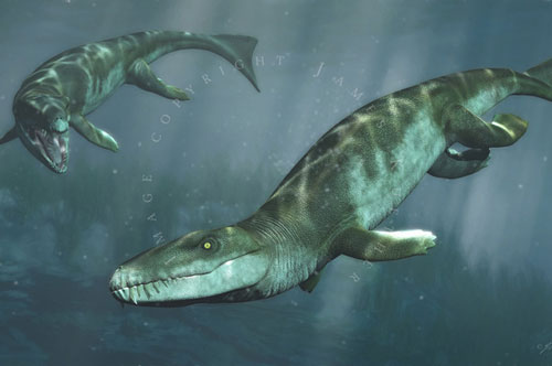 Cá sấu tiền sử dưới đại dương chỉ cần một cú đớp cũng có thể làm thủng bụng ngư long