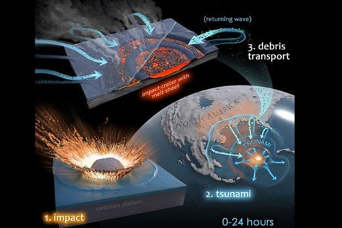Một dạng sống khác "trỗi dậy" từ tiểu hành tinh giết khủng long?