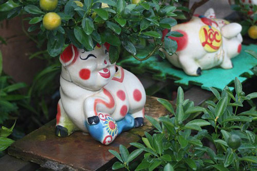 CLIP: Hướng dẫn trồng hoa bằng heo nhựa siêu xinh