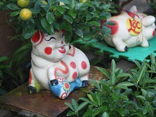 CLIP: Hướng dẫn trồng hoa bằng heo nhựa siêu xinh