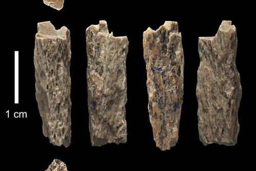 Phát hiện hài cốt thiếu nữ là con lai giữa 2 loài khác nhau