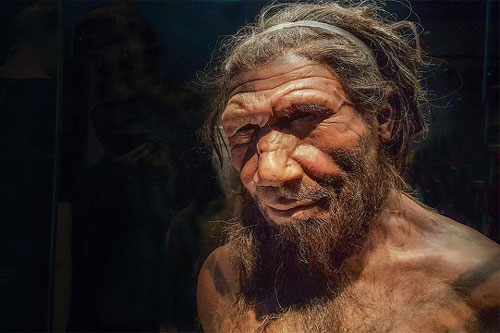Siêu máy tính tìm ra nguyên nhân tuyệt chủng của người Neanderthal