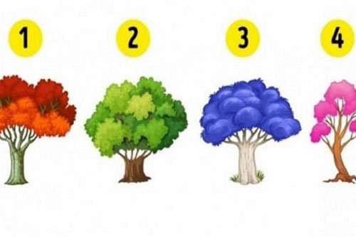 Trắc nghiệm: Tính cách nào chi phối bạn nhất trong cuộc sống?