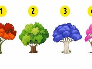 Trắc nghiệm: Tính cách nào chi phối bạn nhất trong cuộc sống?