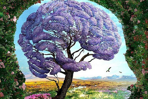 Trắc nghiệm: Hé mở bí mật tâm hồn bạn qua câu hỏi đơn giản