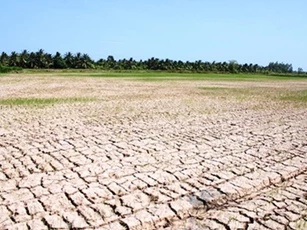 Thủ tướng yêu cầu tập trung ứng phó nắng hạn, không để người dân thiếu nước