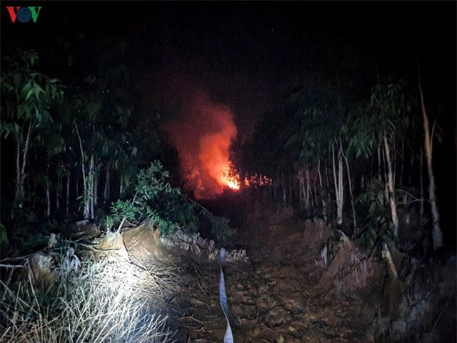 Liên tiếp xảy ra cháy rừng lớn tại Kiên Giang - Ảnh 1.
