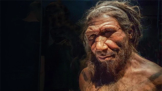 Siêu máy tính tìm ra nguyên nhân tuyệt chủng của người Neanderthal - 1