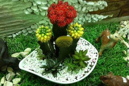 Chớ dại mà bày loại cây này trong nhà kẻo tiêu tán tài lộc, gia đình bất hòa ngày càng lụi bại