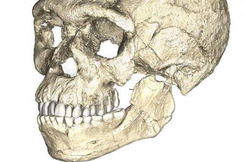 Con người cũng sẽ tuyệt chủng như các loài động vật khác?