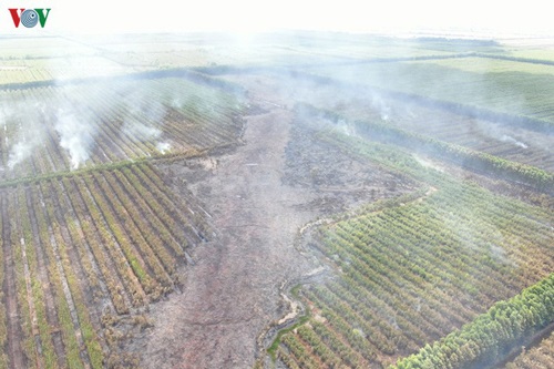 Liên tiếp xảy ra cháy rừng lớn tại Kiên Giang