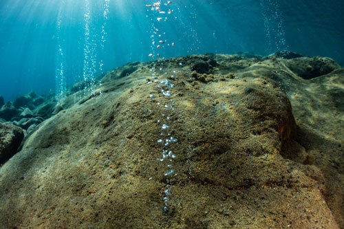 Phát hiện bất ngờ về điều tạo nên sự sống trên Trái Đất