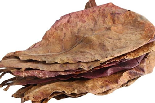 Lá bàng khô được rao bán rầm rộ, 1.000 đồng/lá