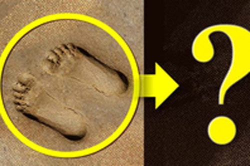 Trắc nghiệm: Dấu chân trên cát khám phá bí mật về bộ não của bạn